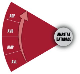 Anastat Subscription and Database Construction